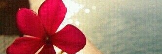 bb_s33's profile banner image