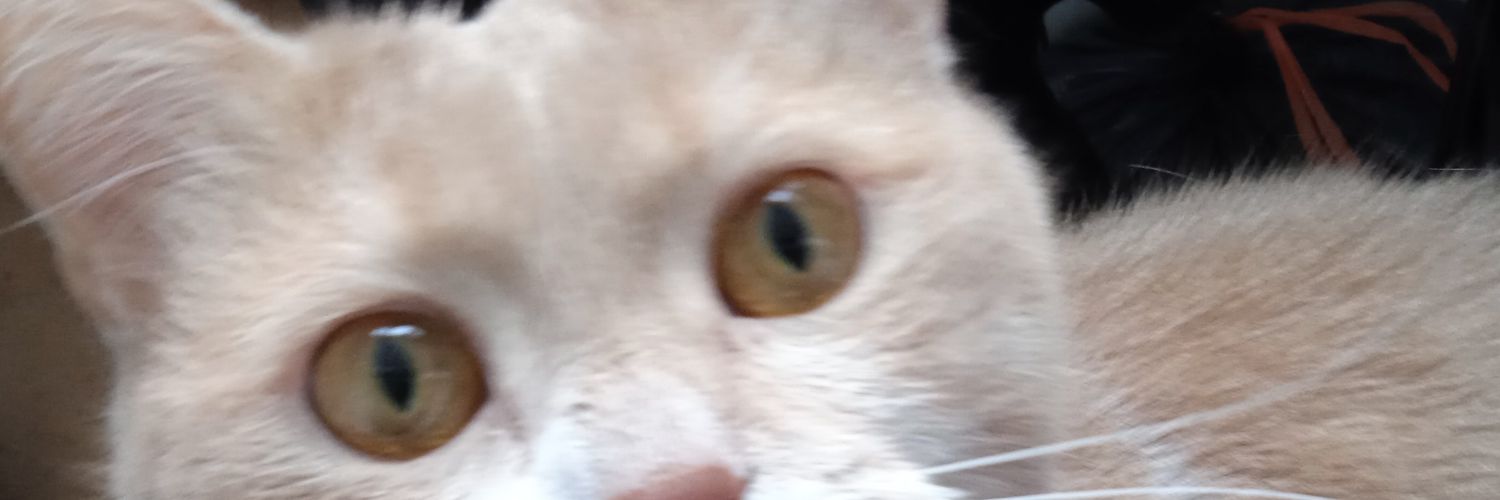 Ciruyn's profile banner image