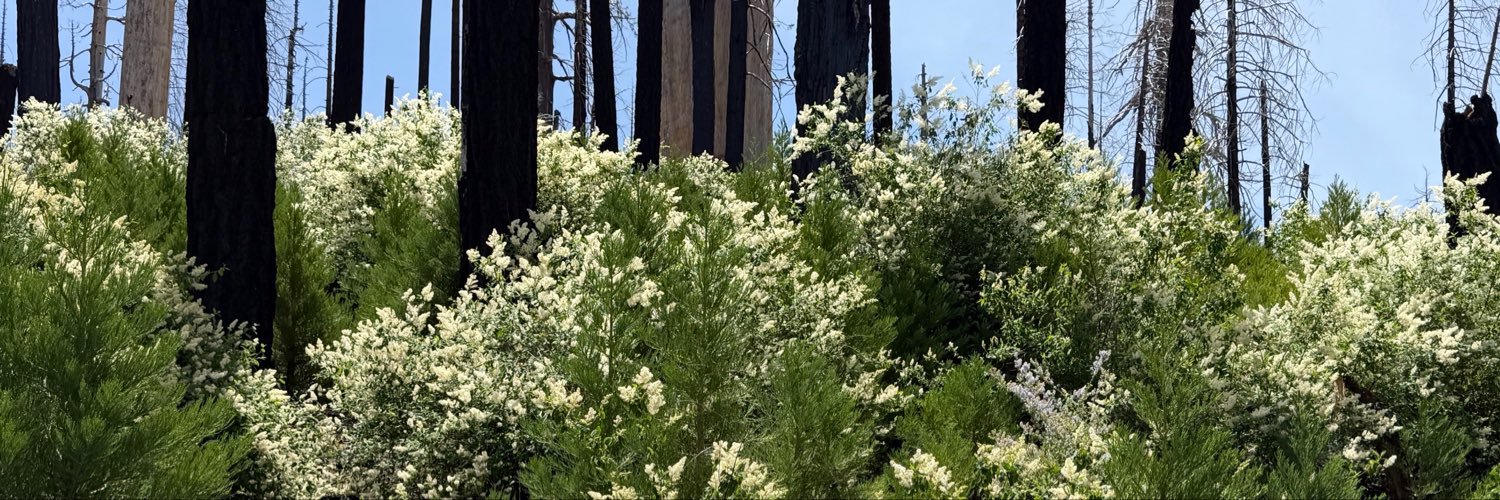 JohnMuirProject's profile banner image
