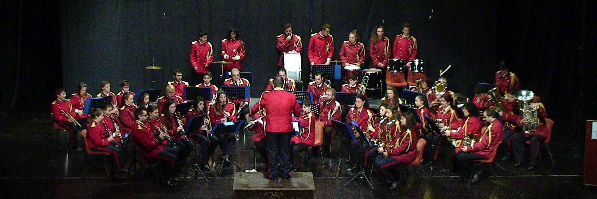 Thinalion Band banner