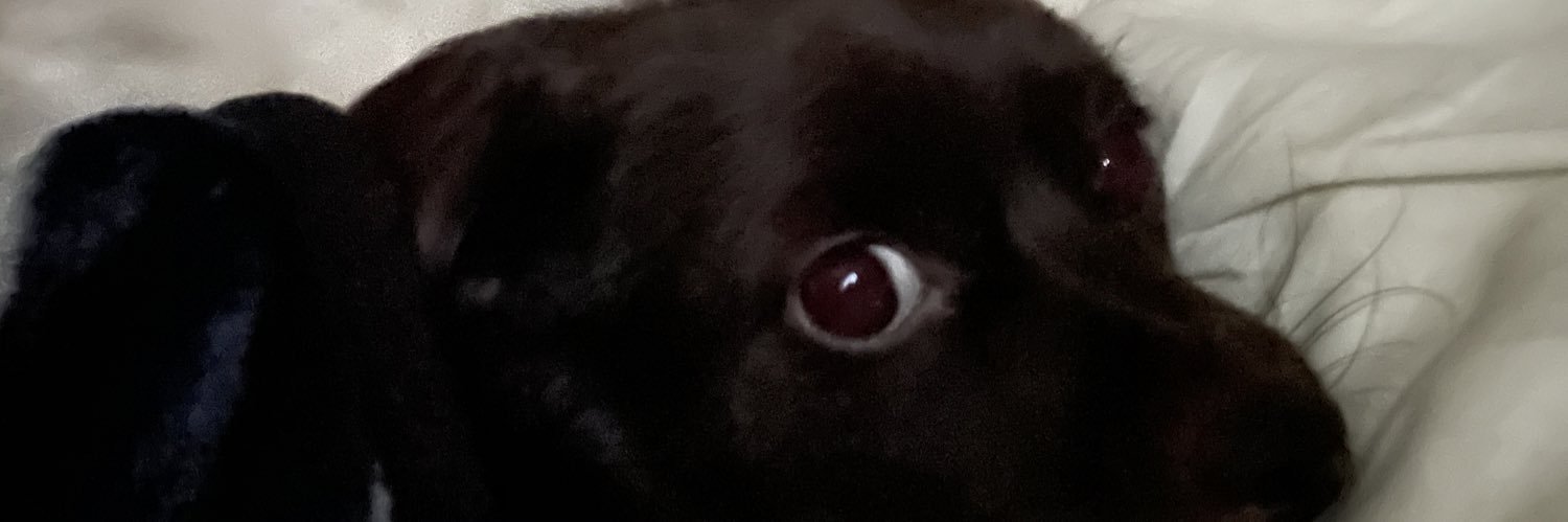 IrbyGG's profile banner image