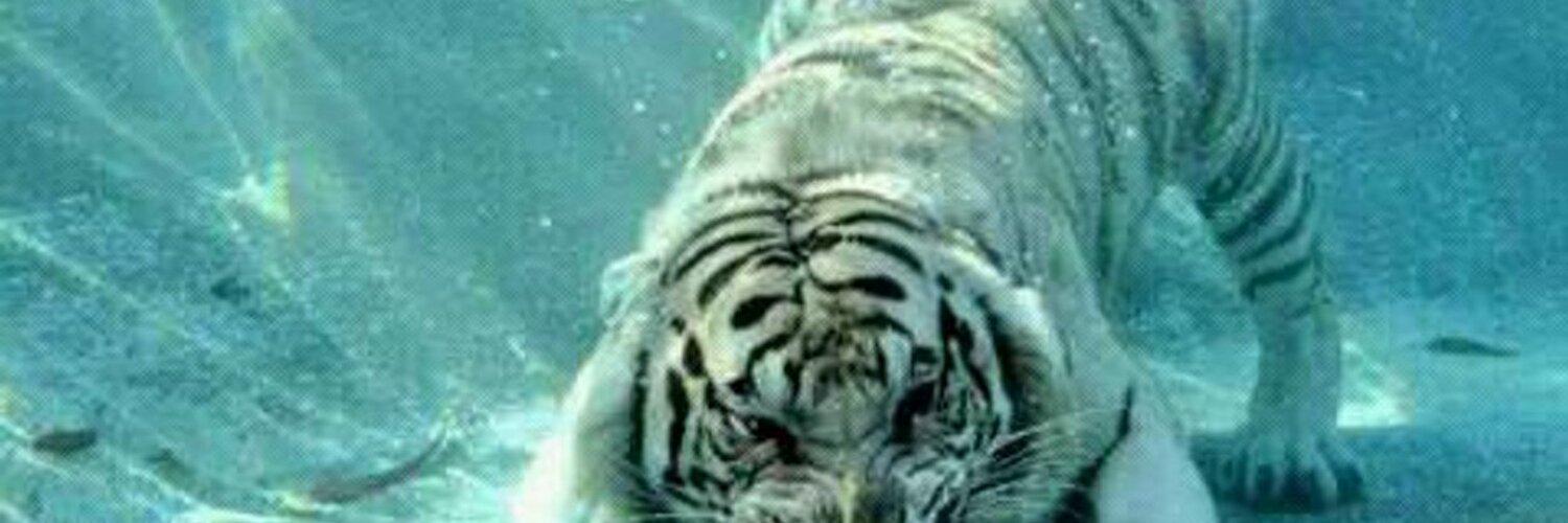 TuBarYT's profile banner image