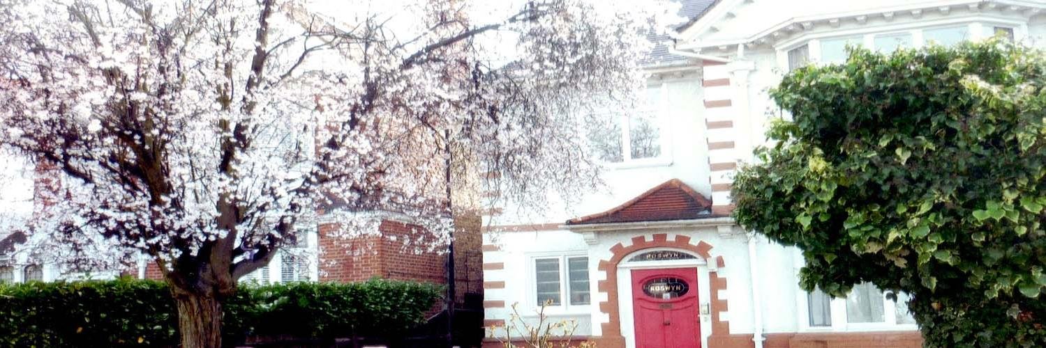RoswynHouse's profile banner image