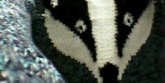 ItsBadger_'s profile banner image