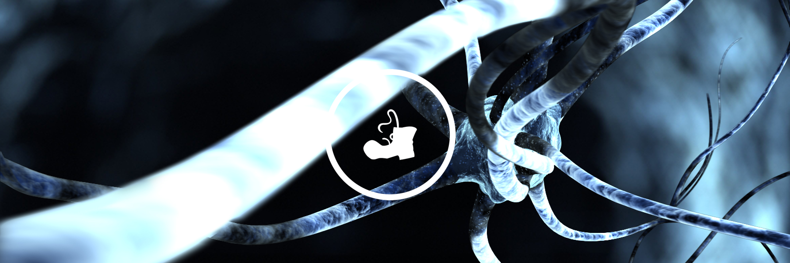 BootstrapCoin's profile banner image