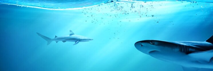 RyanVrga's profile banner image