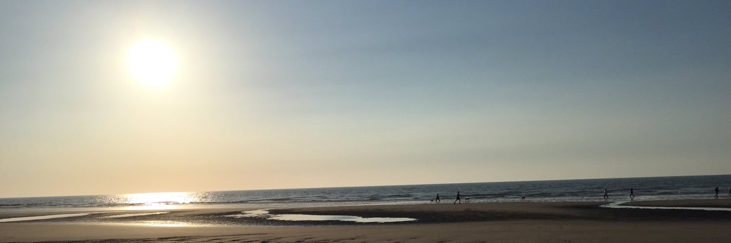 zogeritst's profile banner image