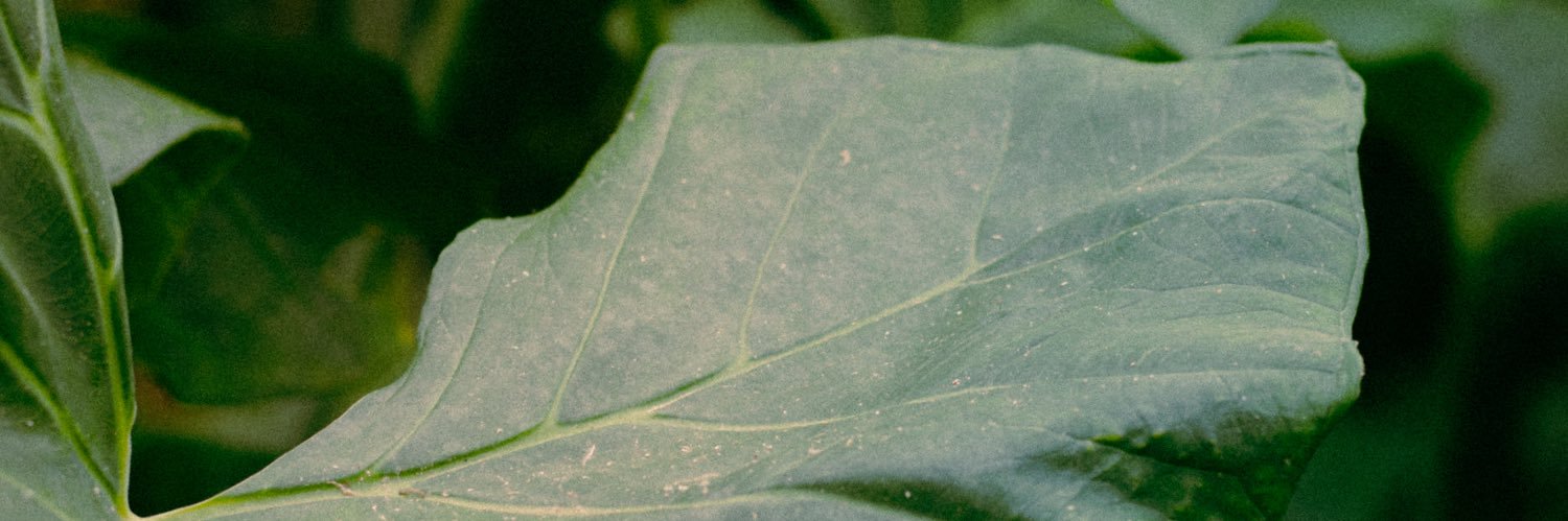 vibardel's profile banner image