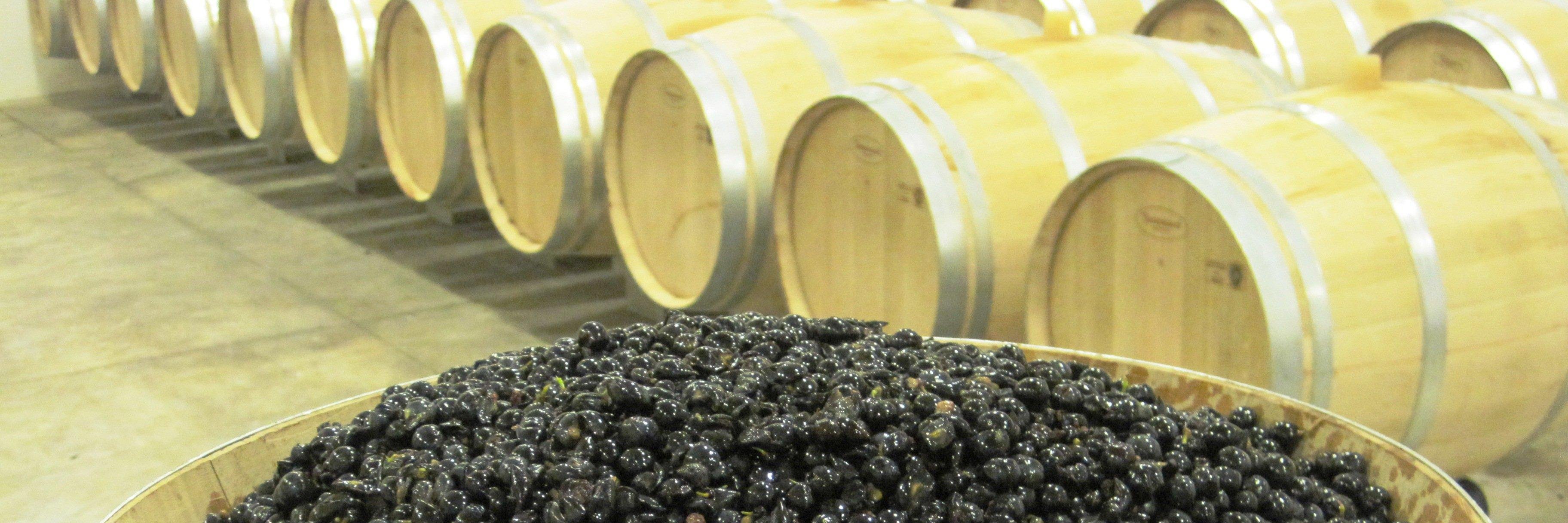 ScarecrowWines's profile banner image