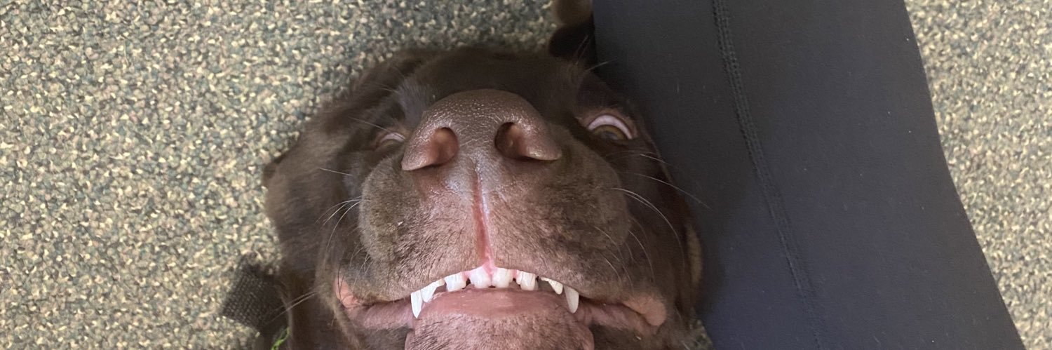 ekrupe12's profile banner image