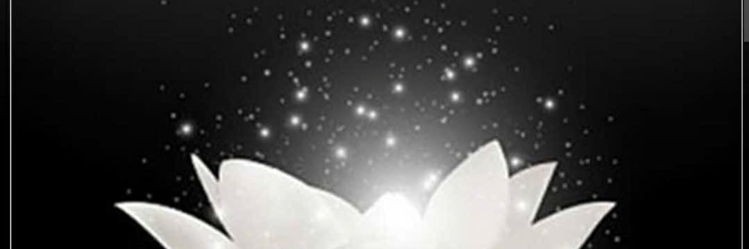 vothainhu16's profile banner image