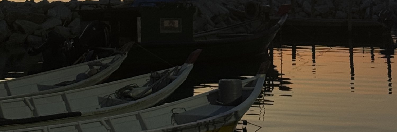 nujuee_'s profile banner image