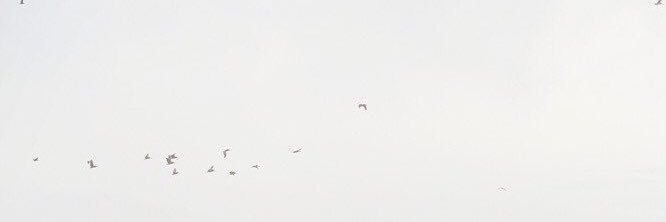 rrrheel's profile banner image