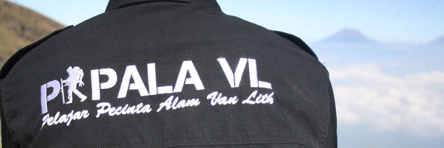papalavl's profile banner image