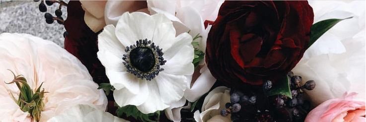 chelse_reed's profile banner image