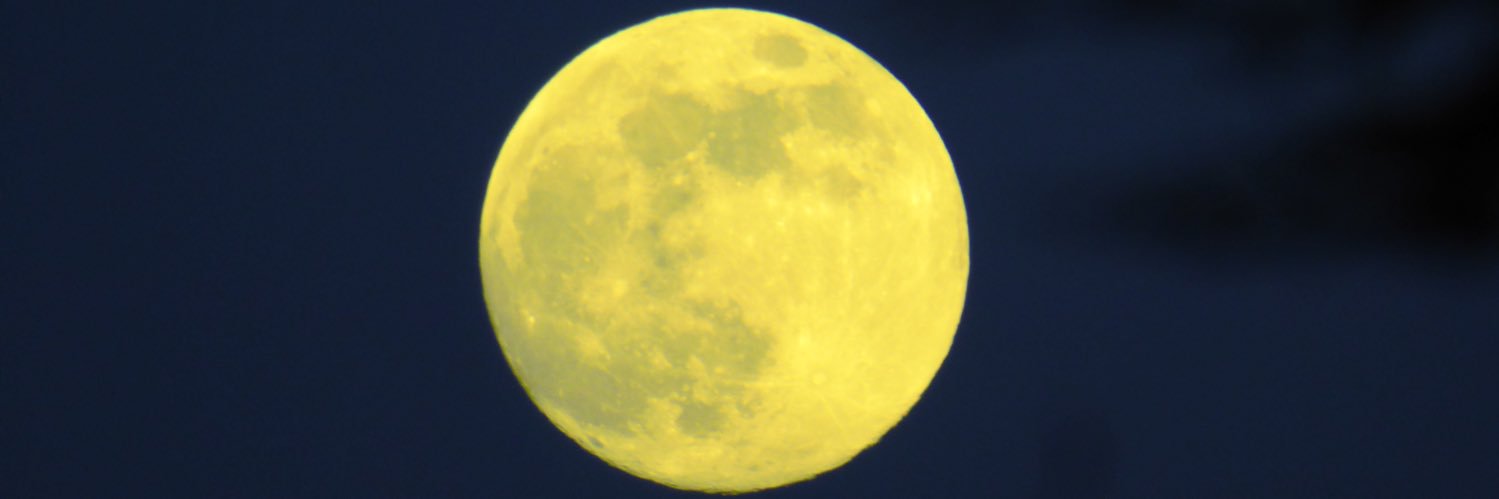 sim1 banner