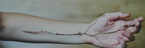 palestguy's profile banner image