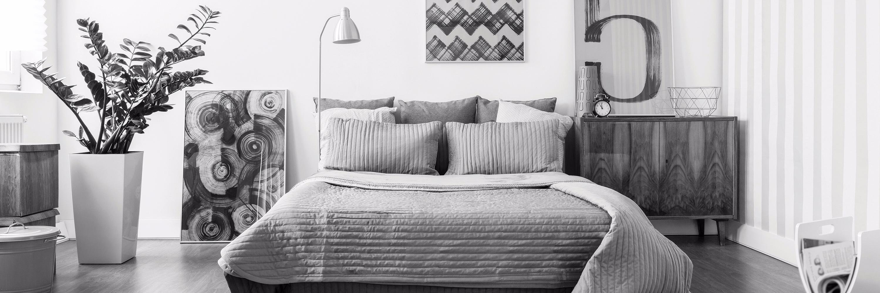 zolocanada's profile banner image
