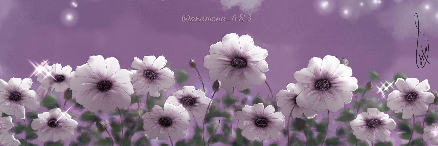 anemone_483's profile banner image