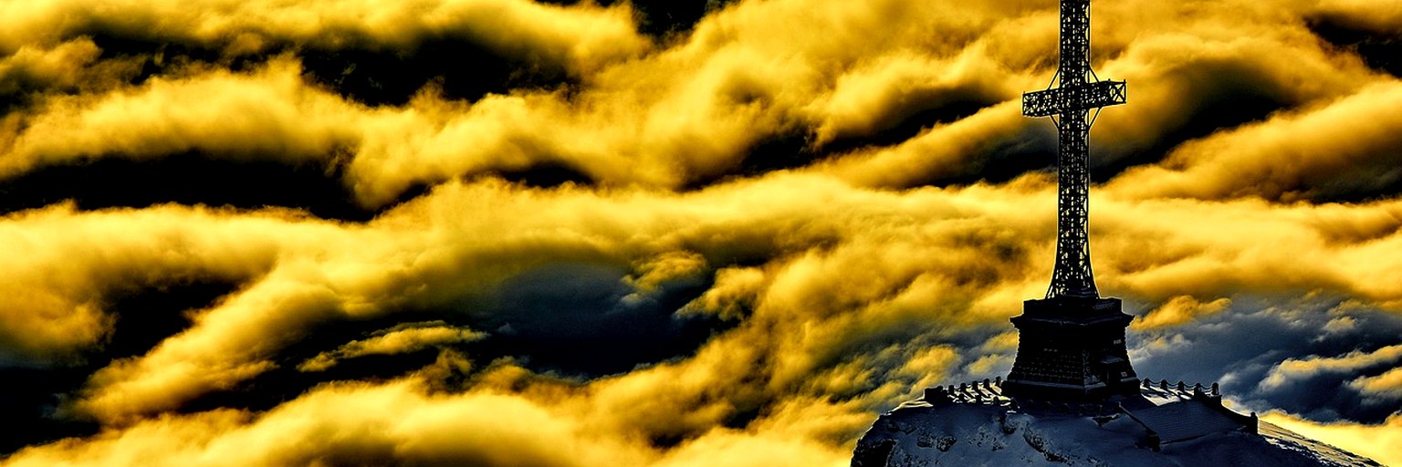 spashazadeh91's profile banner image