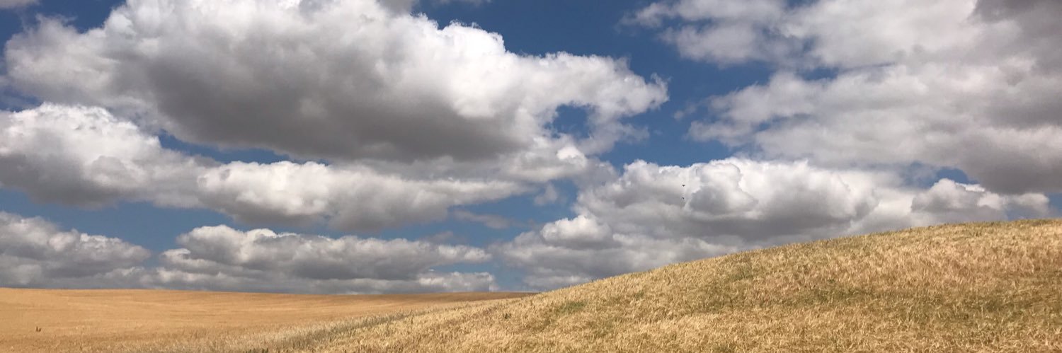 SarahABernes's profile banner image