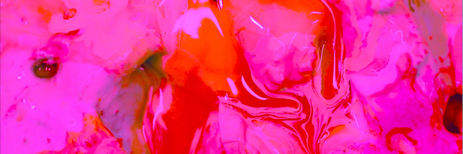 elsie4queen's profile banner image