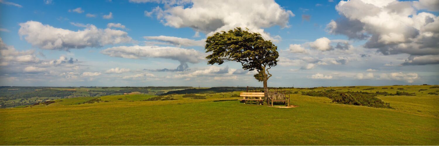 Women of the WI banner