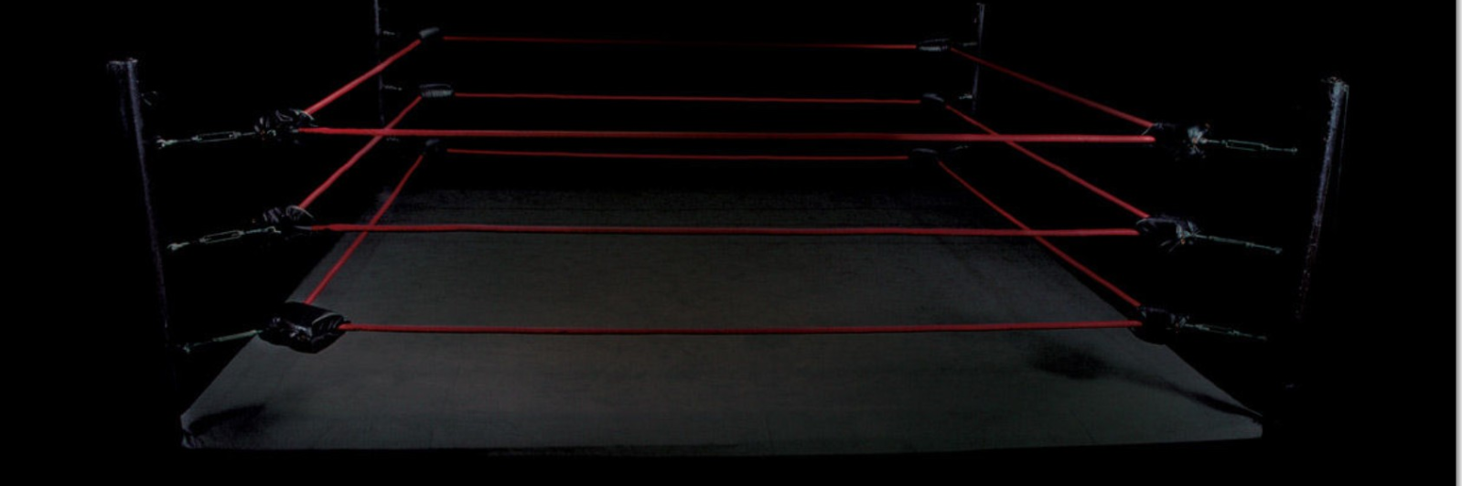WrestlinPro's profile banner image