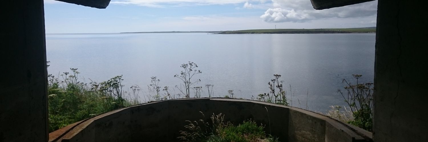 stue_scarth's profile banner image