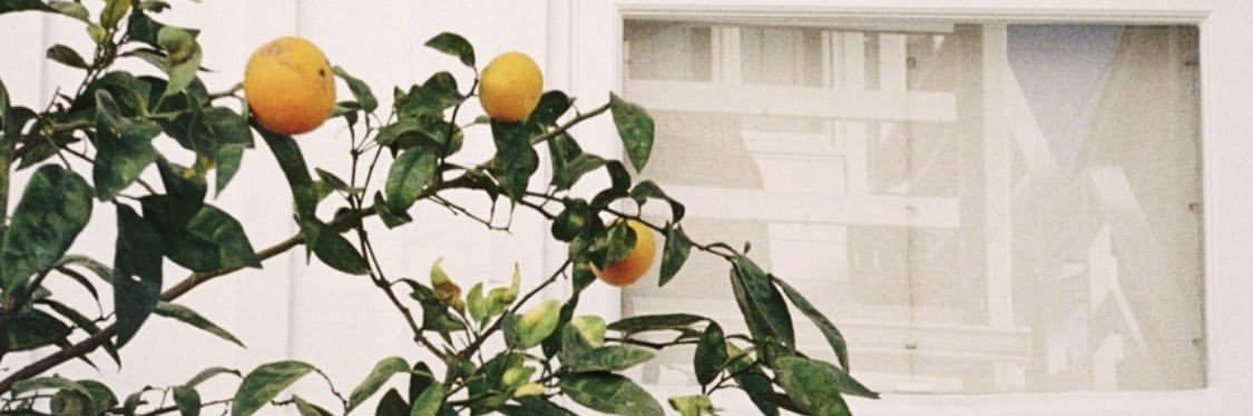 surahlayne's profile banner image