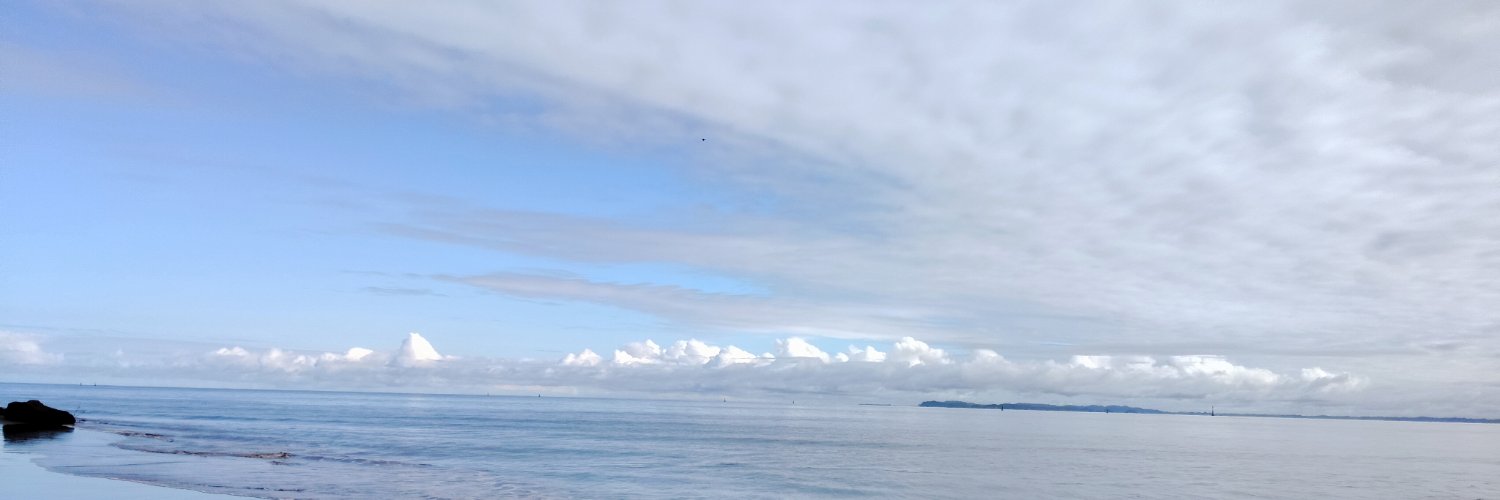 olimpovargasm's profile banner image