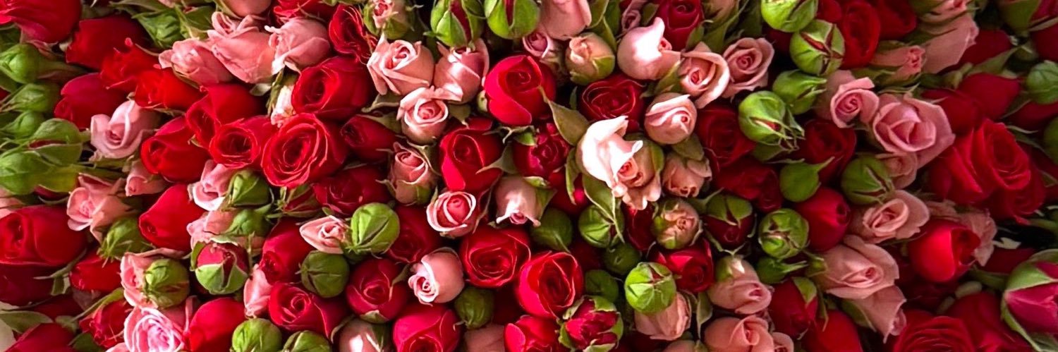 qu3n_pic's profile banner image