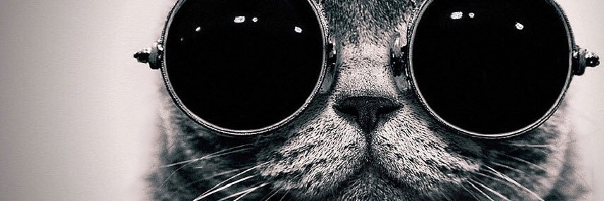 LooBee331's profile banner image
