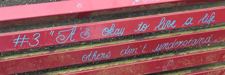 E. J. Noyes 🤷🏻‍♀️ banner