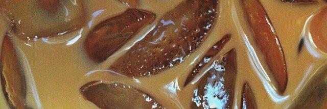 choyesterday's profile banner image