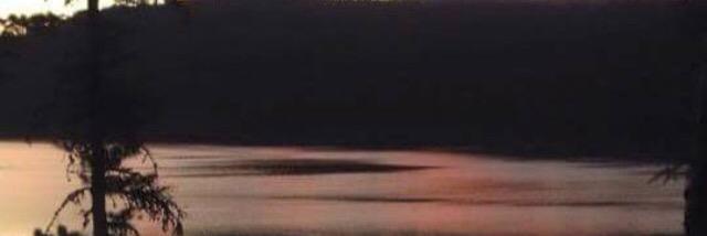 cami_egan's profile banner image
