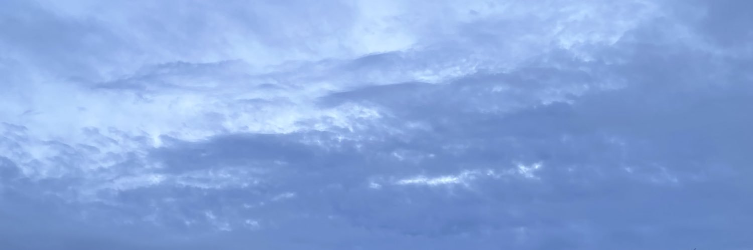 poliiiwag's profile banner image