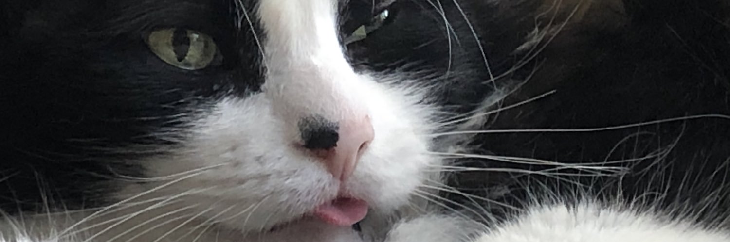 mayh0ps's profile banner image