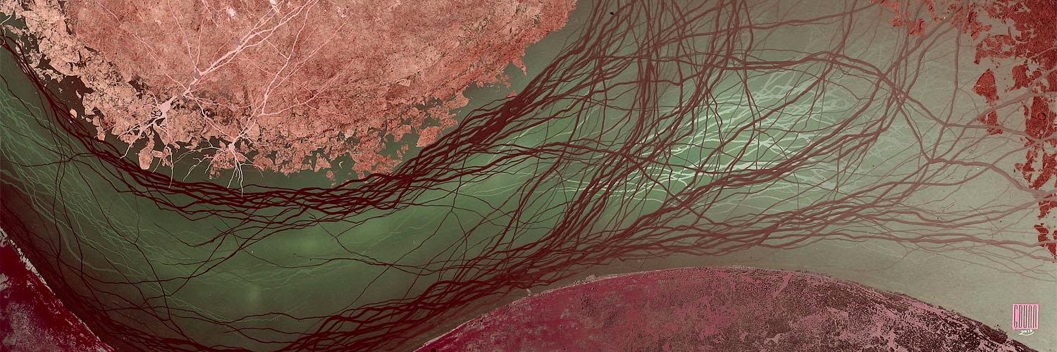 Wendy Hasenkamp banner