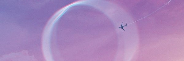 annebollmann616's profile banner image