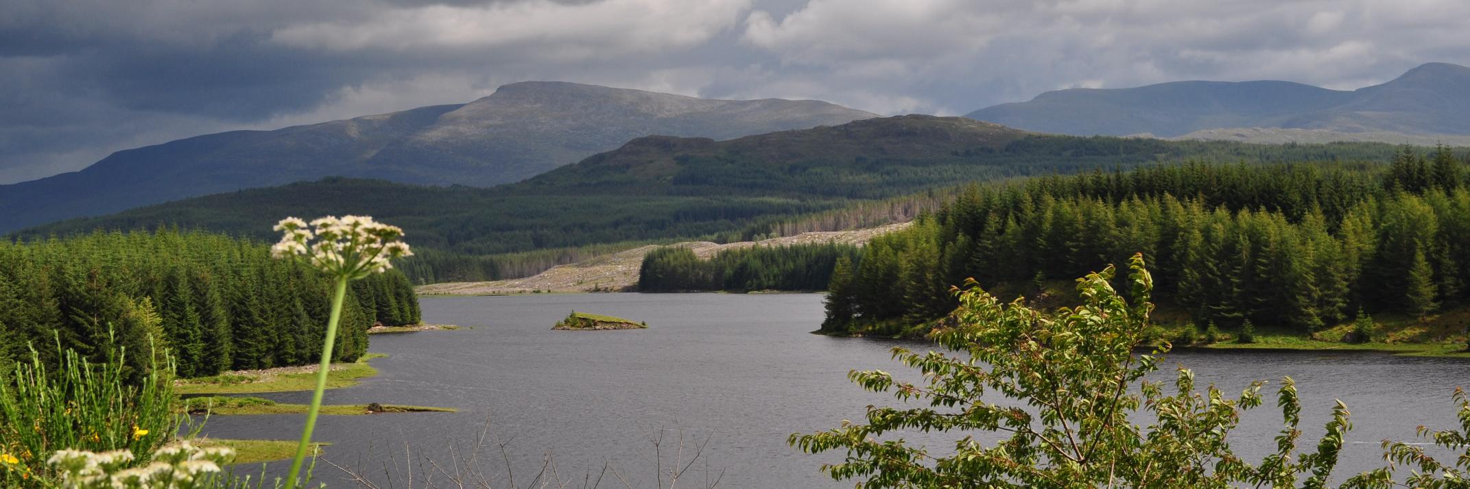 Wim Brink וים ברינק 🇳🇱🇮🇱 banner