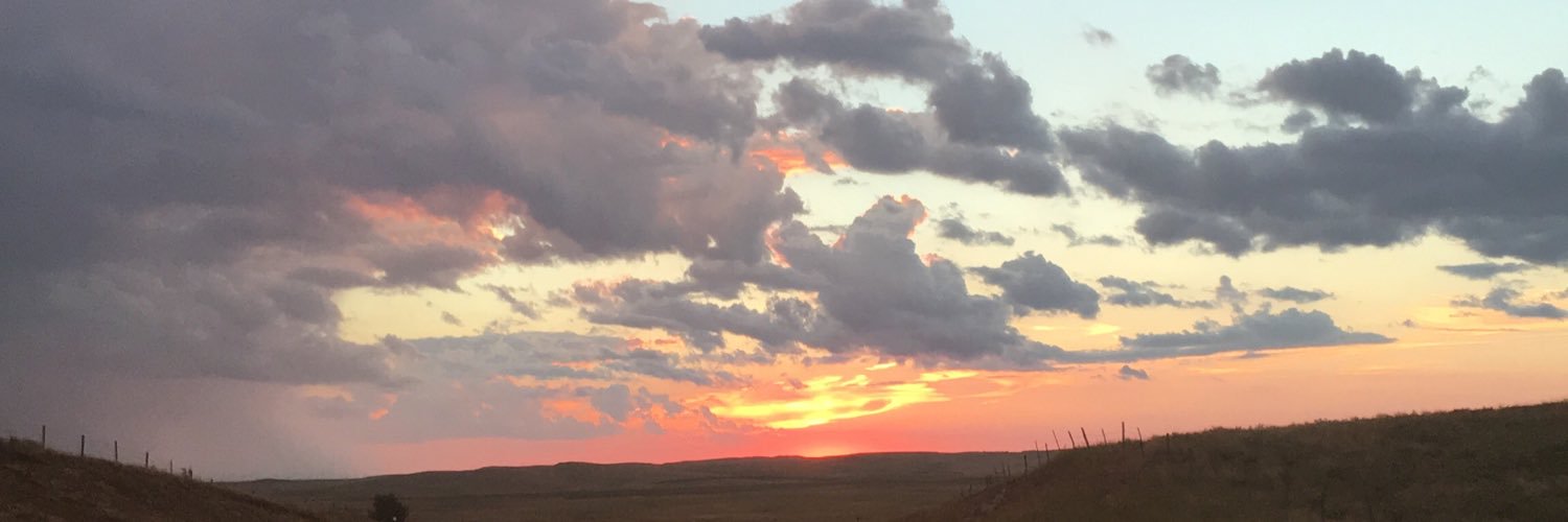 AllisonMiller15's profile banner image