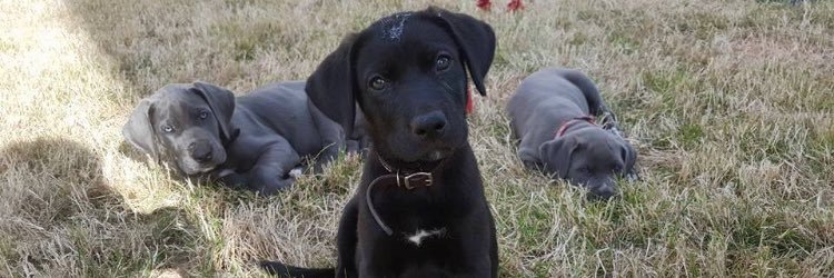 patricksundstrm's profile banner image