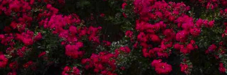 J_Knappy's profile banner image