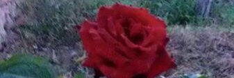as8893's profile banner image