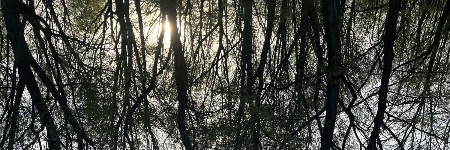 d_hattt17's profile banner image