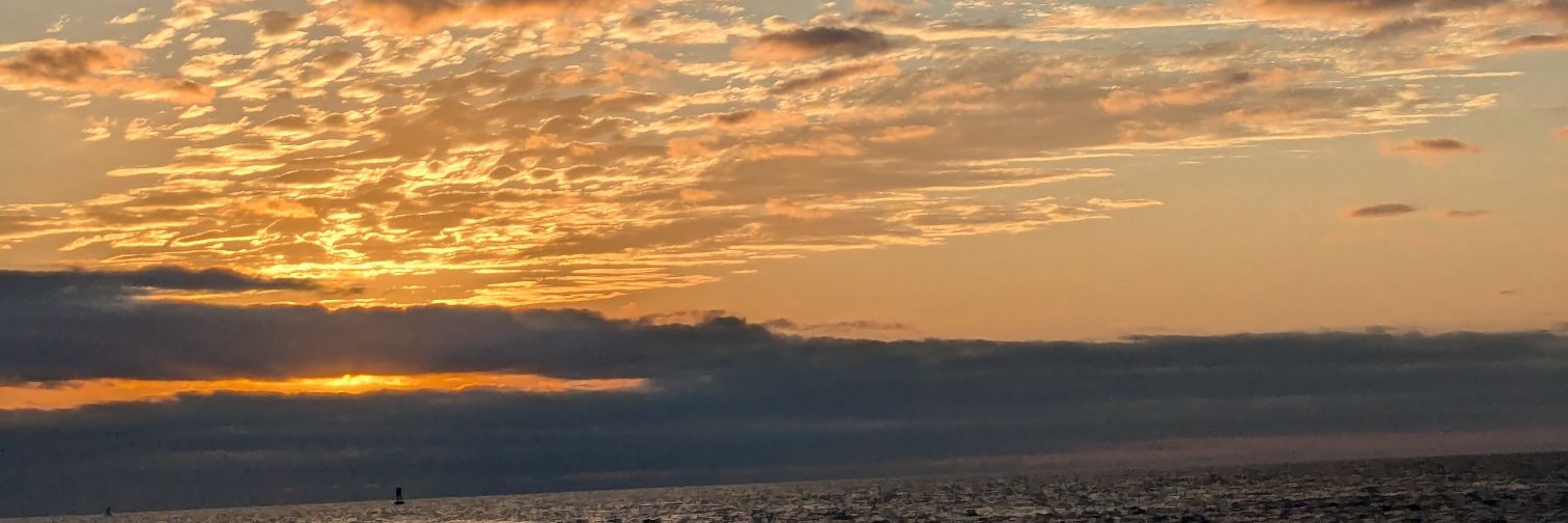 F3di banner