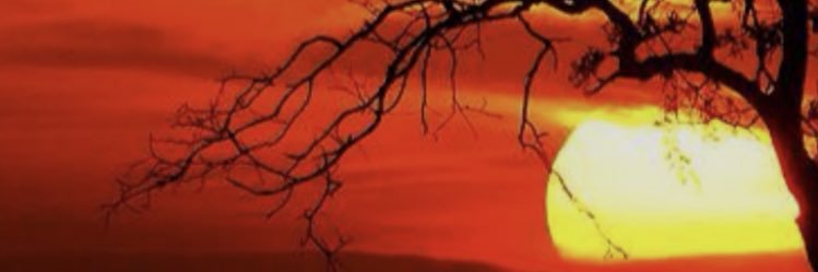 cocalsan's profile banner image