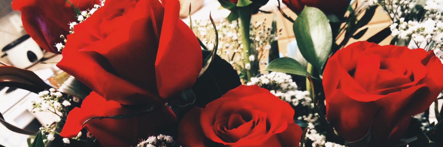 cmMACCUISH's profile banner image