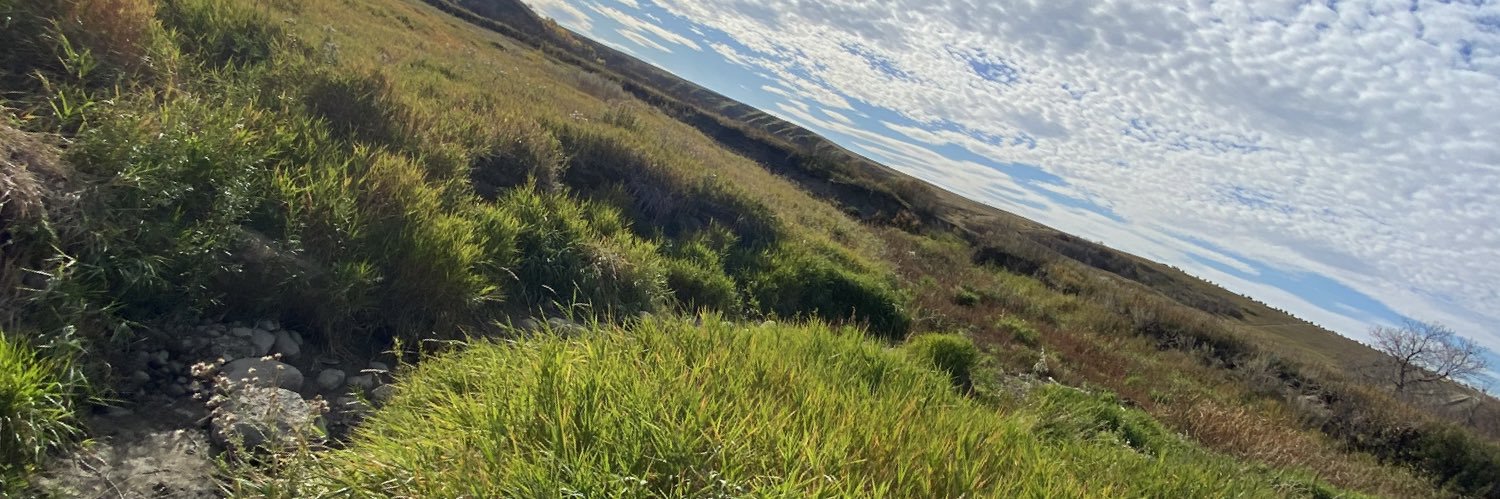machy1995's profile banner image